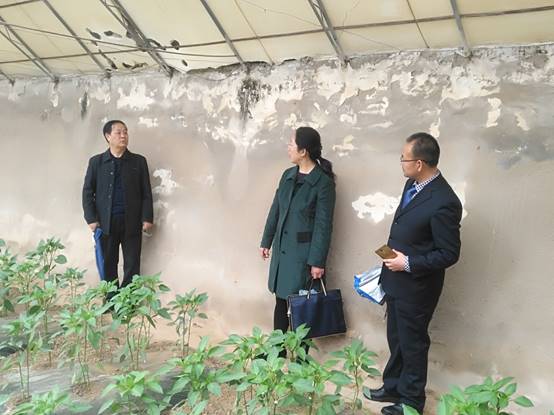 说明:H:\评估专家考察实习单位\IMG_0900.JPG